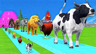 Paint & Animals Cow,Gorilla,Elephant,Giraffe,Tiger,Lion, Fountain Crossing Transformation Cartoon