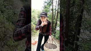 masteran burung memes viral funny moments #funnyvideo #birdsounds