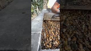 Mesmerizing Rock Garden Makeover  | Satisfying DIY Transformation! #satisfyingvideo #craftsmanship