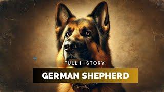 German Shepherd - Full History