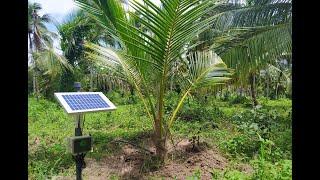 LA South Asia | Senz Agro: Innovating Smart Agri-tech Solutions for Smallholder Farmers