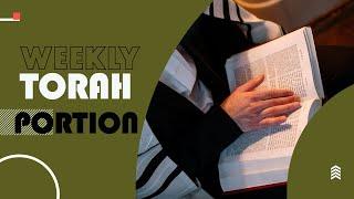 Shmini Torah portion | Parashat Shmini | "Proper start" ‎with Shimon Pozdyrka | Chisinau, MD