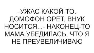 -Ужас какой-то. Домофон орет, внук носится...- наконец-то мама убедилась, что я не преувеличиваю