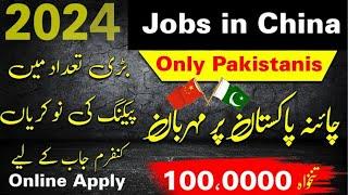 Jobs in China | China Visa for Pakistani 2023 - China Work Visa for Pakistani 2023 - China Work Visa