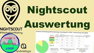 Wie ihr die Nightscout Auswertung verstehen könnt