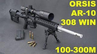 диванные эксперты и AR-10 308 на 100м и 300 м / AR10 shooting in Russia,  sofa's experts