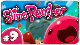 САМЫЙ ОПАСНЫЙ ГОРДО?! - Slime Rancher