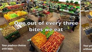 Pesticide Song - One Our of Every Three Bites!
