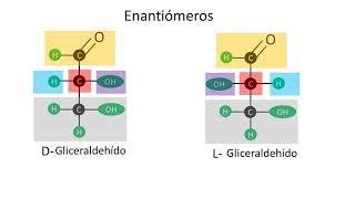 Carbohidratos | Enantiómeros y epímeros | Configuración D y L