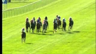 QIPCO 2000 Guineas, Newmarket, 2011