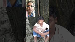 The snake is coming down from the tree।। mr Rafiq #shorts