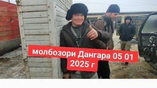 молбозори Дангара 05 01 2025 г