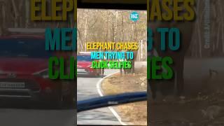 Elephant Chases Men Trying To Click Selfies In Bandipur Forest | Watch
