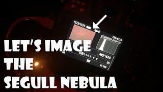 Let's Image the Seagull Nebula