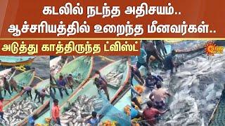 200 tons of fishes caught | Cuddalore | Fishermans | Sun News