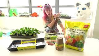 Learn about urban gardening from the Ferry-Morse Garden Get-Together show