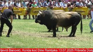 Korida kod Tubića Liskovica 2025