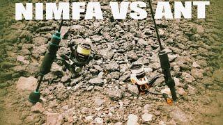 Ant vs Nimfa