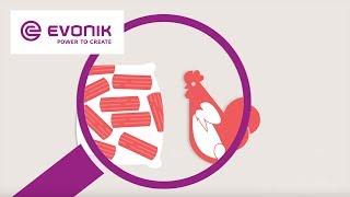 Best quality for your business - MetAMINO® | Evonik