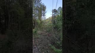 Abandoned since 1905. Old Carline Road in Rossville, Georgia.