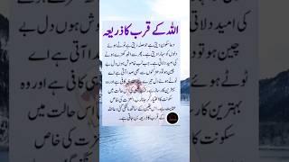 Duaen Sakoon Deti Hein|Allah Pak| Islamic Quotes |Urdu Quotes |saadia's diary #shorts #dua #youtube