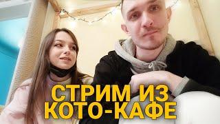 ДЖЕК ЛУНИ И СВЕТА ПРОВЕЛИ САМЫЙ МИЛЫЙ СТРИМ В КОТО-КАФЕ