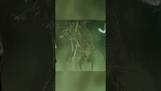 FUNNY! Astarion REACTS to Myrkul, Lord of Bones - Baldur's Gate 3 (Companions Videos)