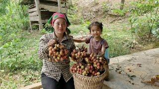 Single mother harvests lychees to sell and cooks meals with her daughter Po.
