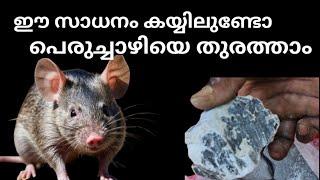 ഈ സാധനം കയ്യിലുണ്ടോ പെരുച്ചാഴിയെ ഓടിക്കാം | Easy Mouse Rat Trap | Get Rid Rat In Our Home