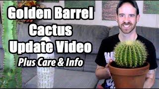 Golden Barrel Cactus Care & Information (& Update)