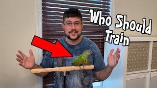 Who Should Train a Parrot in a Family Setting?