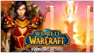 WORLD OF WARCRAFT | EVERSONG WOODS | LOREMASTER/ALL QUESTS | PROC PALADIN | No Commentary