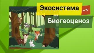 Экосистема и Биогеоценоз ОТЛИЧИЯ!!! ЕГЭ