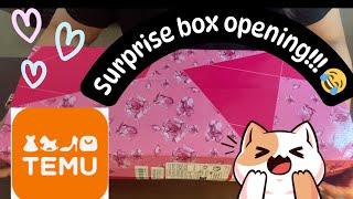 Temu Haul️ - Reborn Kodi Bear Box Opening !!!!!  Surprise gender reveal!! 