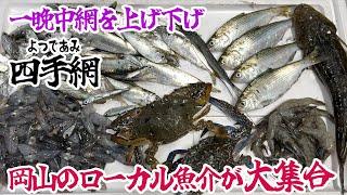 四手網で岡山のローカル魚介が大集合！