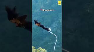 Here are 3 incredible spots in India for bungy jumping adventures! 