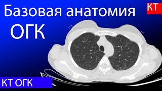 Базовая КТ анатомия органов грудной полости