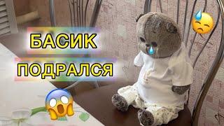 ВЛОГ С БАСИКАМИ