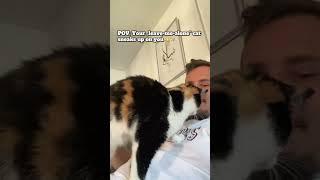POV: Your „leave-me-alone“ princess sneaks up to you  #cat #pov