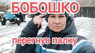 СЕЛЯНИ  ПРОДАВАЙТЕ СВОЇХ  ВОНЮЧИХ КОРІВ Бо  Льоні ми  не конкуренти ️