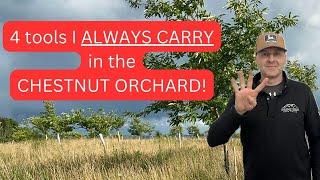 4 Tools I ALWAYS Carry in the CHESTNUT ORCHARD (+1 I keep close by)