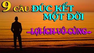 9 CÂU NÓI UYÊN THÂM của một người từng trải đời LỢI ÍCH VÔ CÙNG -   Thiền Đạo