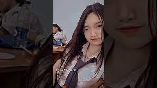 video arachu.