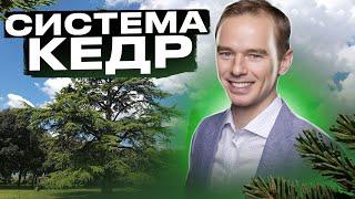 Система КЕДР и её расшифровка от Владимира Якубы!