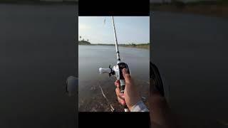 Bensten Park #bass #956 #texas #topwater #abugarcia #resaca #fishing #pb