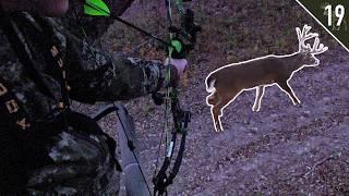 BIG Bucks at 7 Yards!!! (Bow Hunting the Rut)