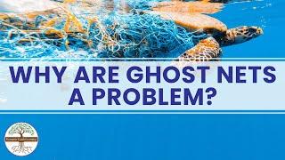 Why Are Ghost Nets a Problem? Dynamic Earth Learning