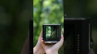 Every Detail Counts  100MP Hasselblad Precision