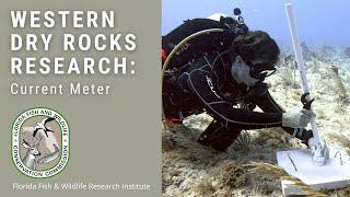 Western Dry Rocks Research: Current Meter