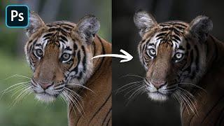 How to Edit Photos Like Shaaz Jung (Wildlife Photographer)